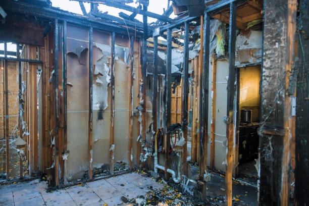 Professional Fire Damage Removal technician working in Montverde, FL